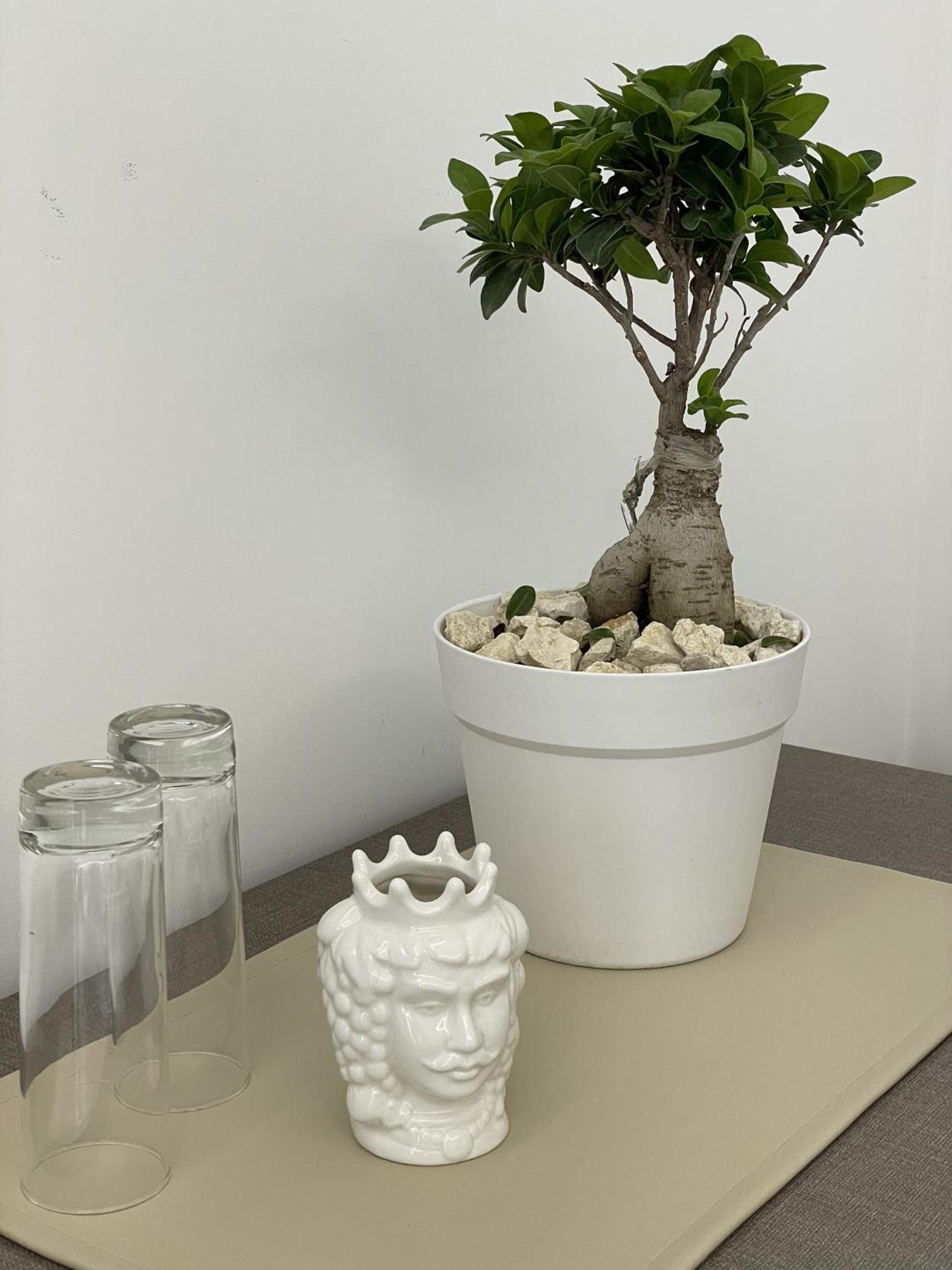 Paradise Sicily Rooms Calatabiano Exterior photo